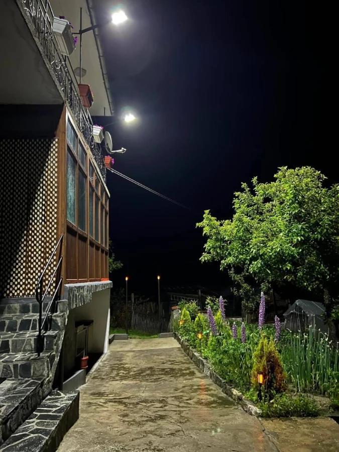 Къща За Гости "Домът На Краси" Iagodina Exterior foto